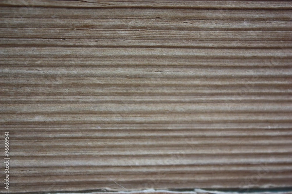 Obraz old yellowed pages