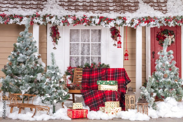 Obraz Beautiful House