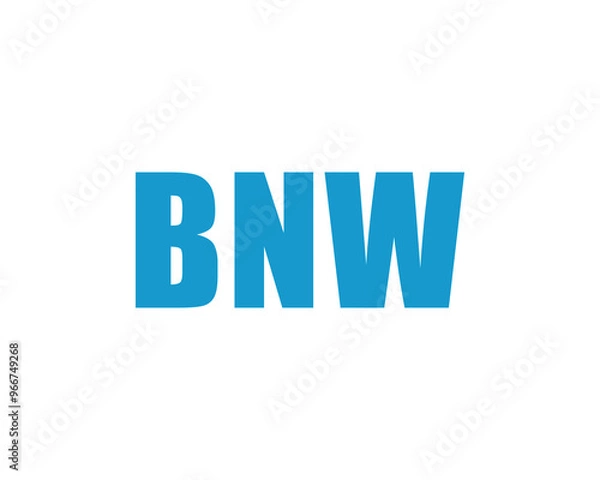 Fototapeta BNW logo design vector template. BNW