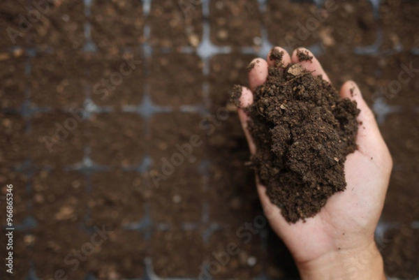 Obraz farmer's hand preparing seedling tray with soil for growth