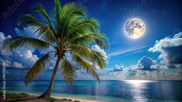 Fototapeta Tilted angle palm tree under moonlit sky on Caribbean coastline