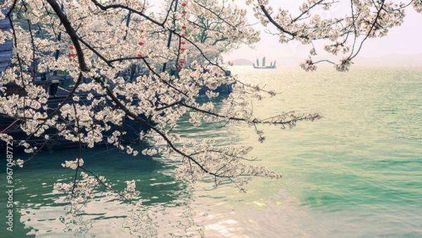 Obraz sakura tree on the beach