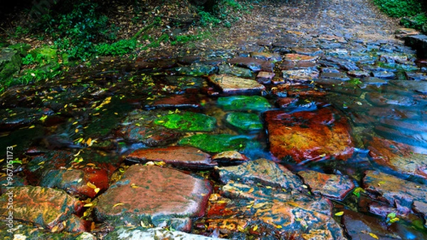 Obraz Color stone road