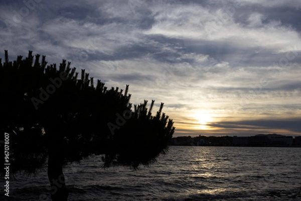 Obraz 湖に沈む夕日と松の影