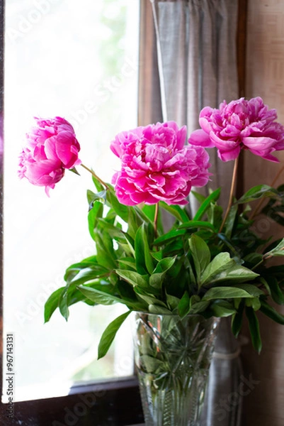 Obraz A bouquet of pink peonies with green leaves in a crystal vase on the background of the window.