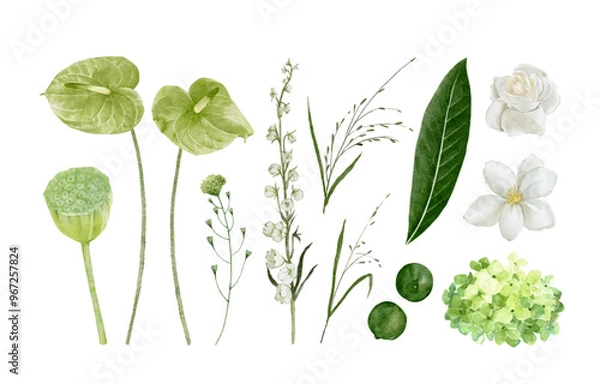 Fototapeta Tropical Greenery Floral Elements with anthurium, lotus, white rose, magnolia, hydrangea, lime and others isolated on white background
