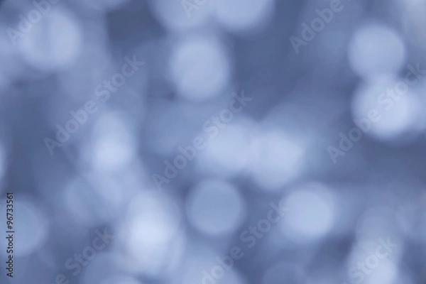 Fototapeta The Misty Winter