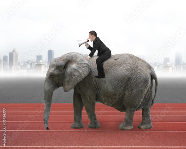Obraz Businessman with using speaker riding on walking elephant