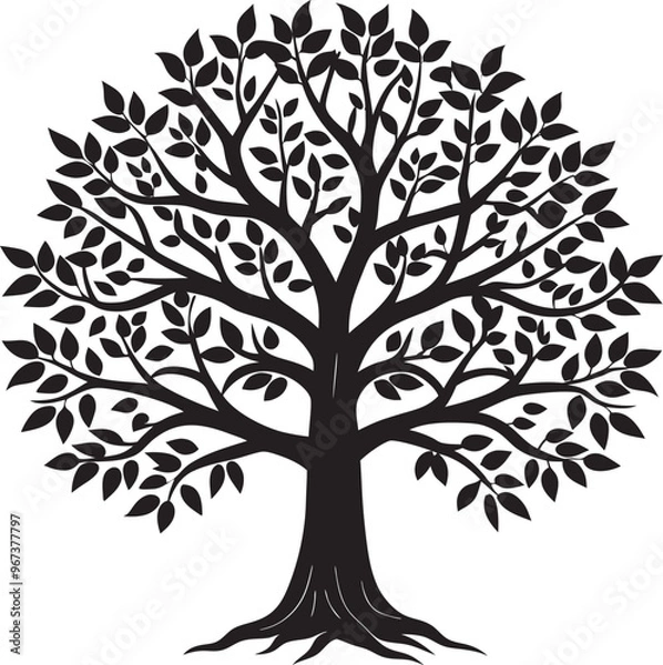 Fototapeta silhouette