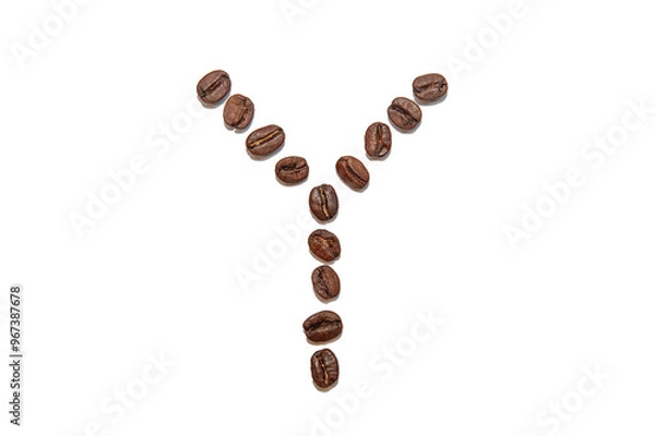 Obraz brown coffee bean letter Y