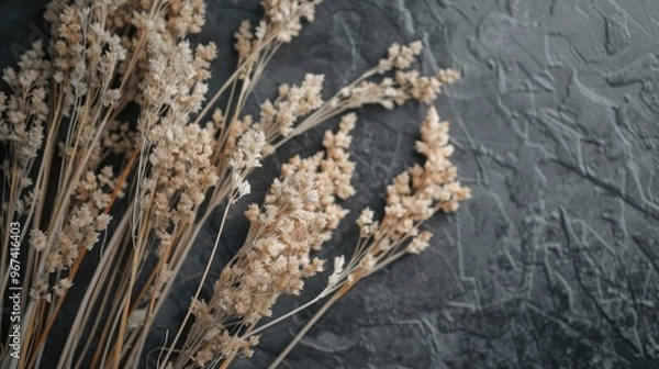 Fototapeta Close up view of dry spikelets pattern on dark gray background Floral card design