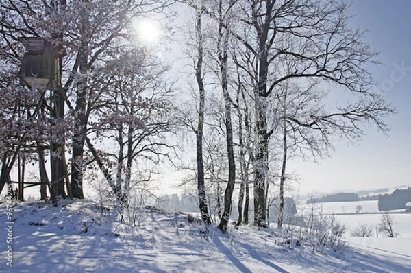 Fototapeta Wintersonne