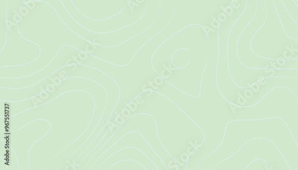 Fototapeta Background of the topographic map. Topographic map lines, contour background.