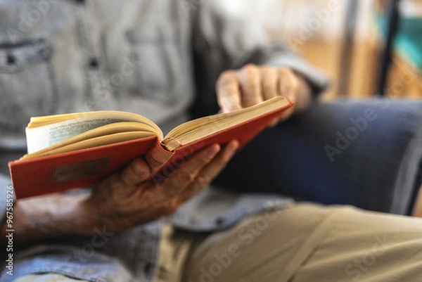 Fototapeta Senior man enjoys reading book alone in the living room. Old man alone at home.