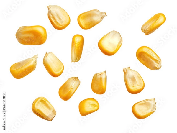Fototapeta Corn seeds flying  in air, isolated over transparent background, png ready cut-out