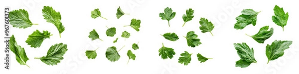 Fototapeta falling salad burnet leaves on white background,transparent background