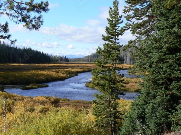 Obraz YellowtoneRiver