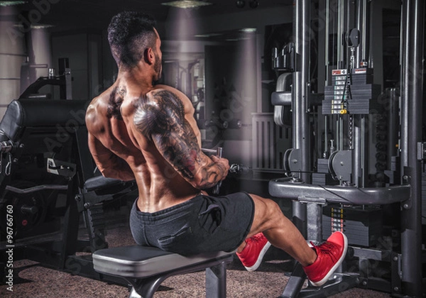 Obraz Back workout in the gym.