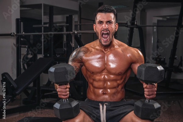 Obraz Beast in the gym.