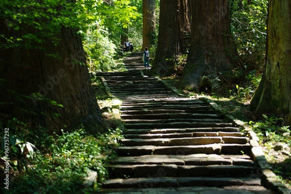 Obraz 出羽三山神社