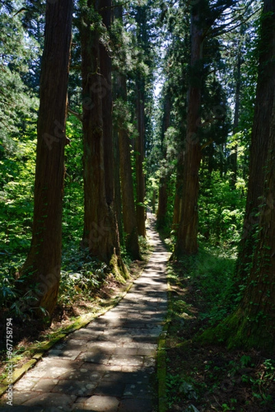 Obraz 出羽三山神社