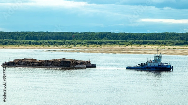 Fototapeta A large river vessel pulls two barges loaded with timber down the river