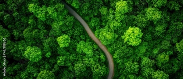 Fototapeta Aerial view of a twisting road surrounded by lush green trees, showcasing nature's beauty and tranquility.