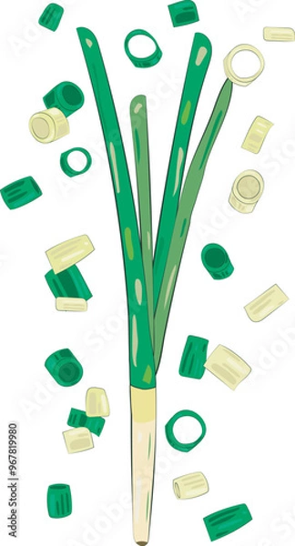 Fototapeta Chopped Green Onion Element Chives Slices Illustration Graphic Element Art Card