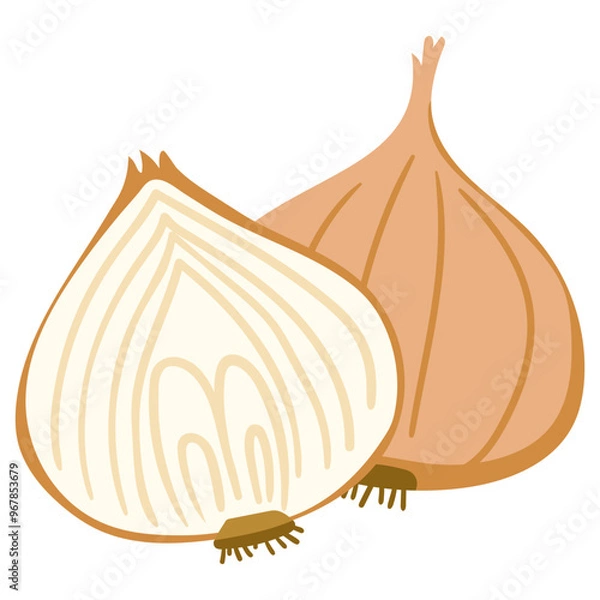 Obraz onion illustration for card website, application, printing, document, poster design, etc.