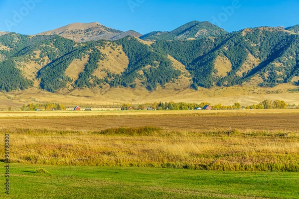 Obraz Bridger Mountain Fields