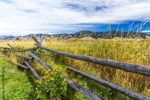 Obraz Cherry Creek Preserve