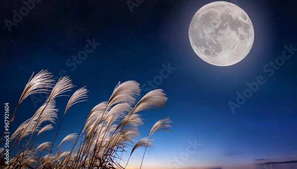 Obraz 中秋の名月2
