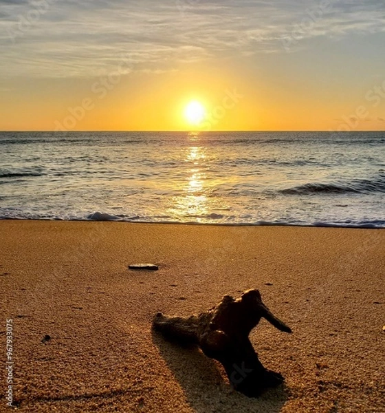 Obraz sunset on the beach, silhouette, reflection 