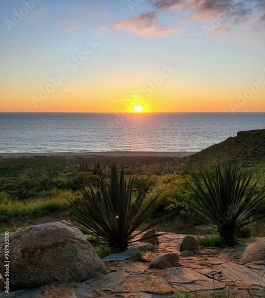 Obraz sunset on the beach
