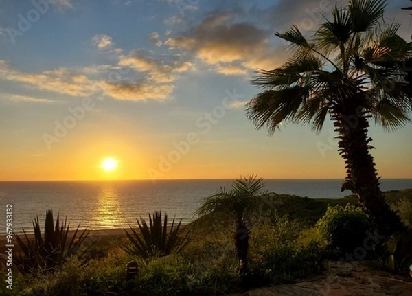 Obraz sunset on the beach, framed by palm trees, clouds 