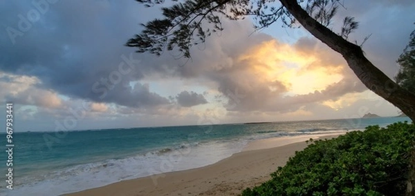 Obraz sunset on the beach