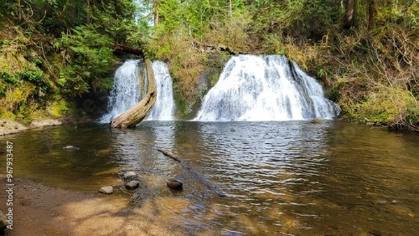 Obraz Waterfall in the forest, water pool, tranquil. 