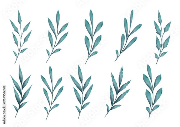 Fototapeta Watercolor branches with leaves,  isolated vector elements on white background.
