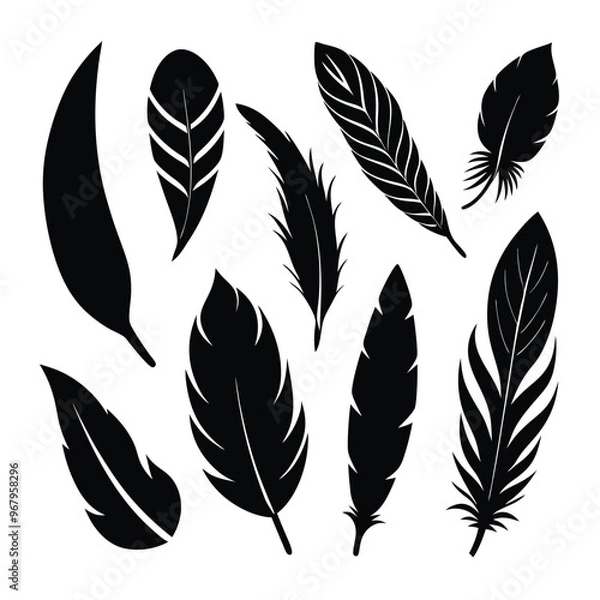 Fototapeta Versatile feather silhouette vector set, ideal for patterns, logos, and decorative designs.