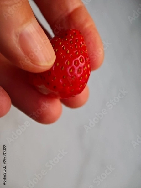 Obraz strawberry in hand