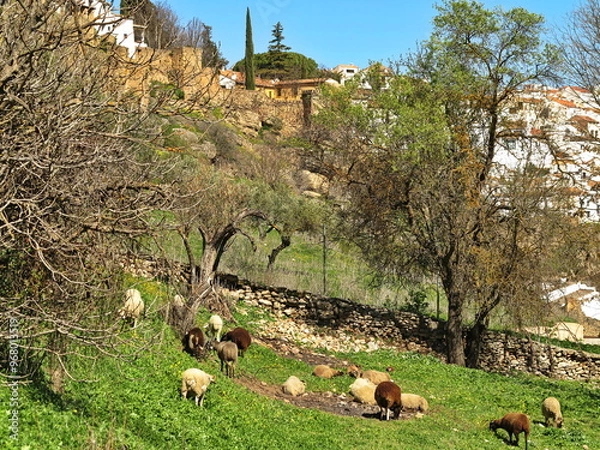 Obraz Ronda Spain 13