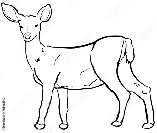 Obraz Deer Sketch