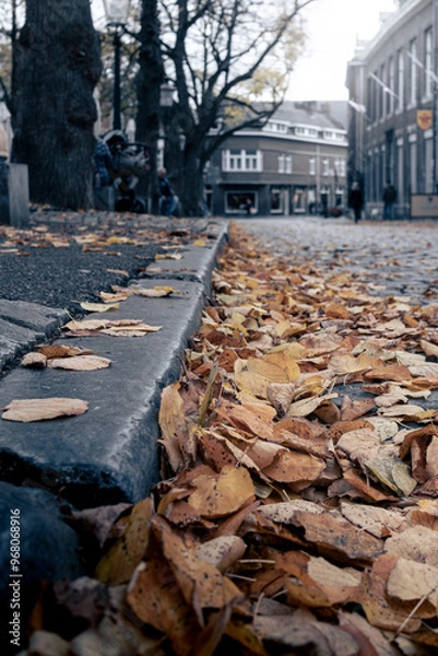 Obraz Atmospheric image of dead leaves on the road and sidewalk in the city with a low viewing point.