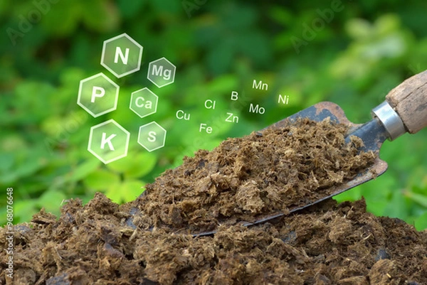 Obraz Image of manure with green plants background