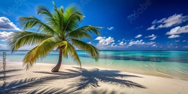 Fototapeta Palm Tree Shadow on Pristine Beach, Tropical Paradise, Summer Vacation, Ocean Views ,paradise, beach, tropical