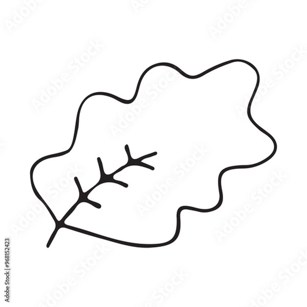 Fototapeta oak leaf doodle. Leaf from tree. Falling leaves. Vector illustration.