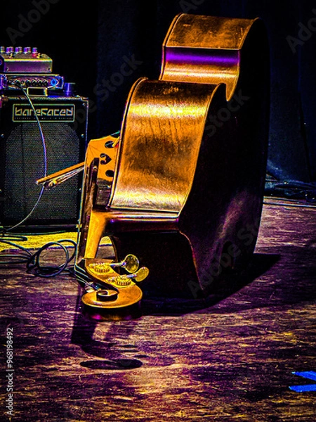 Obraz Bass on Concert Stage