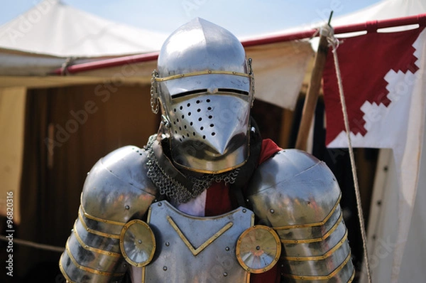 Obraz knight harness