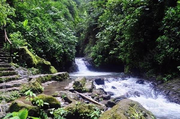 Obraz waterfall in the forest
