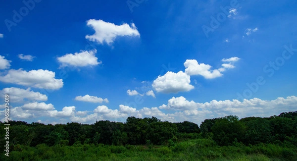 Fototapeta 草原と白い雲